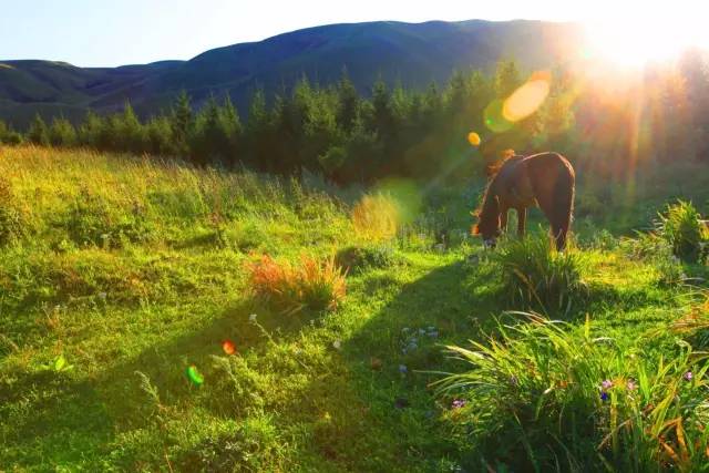 51影院直接进入