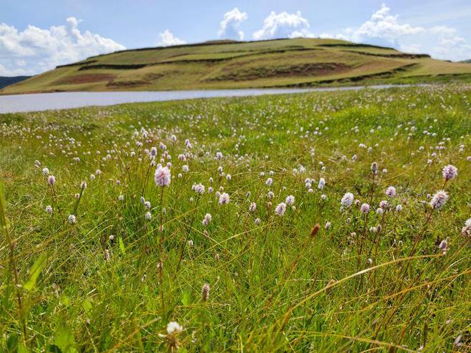 巴黎之夜电影 充满夜晚的邂逅与试探