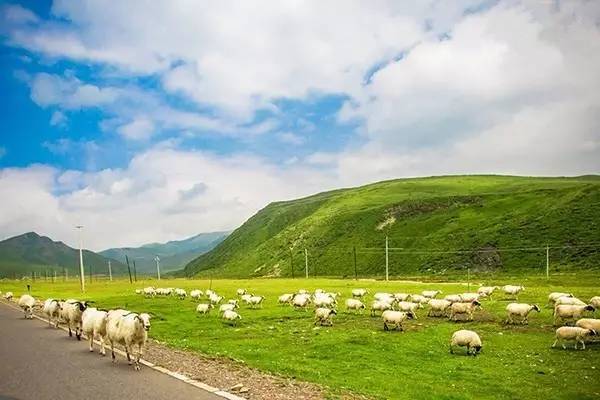 黑料不打烊警花，黑料不打烊中