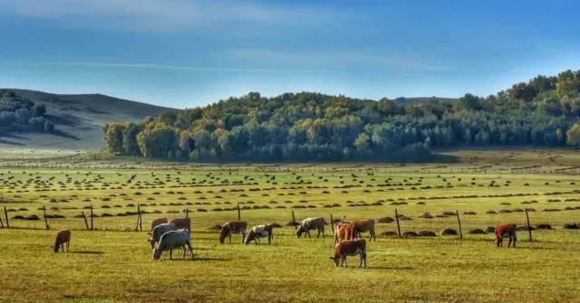 男同动漫中文 男同玄幻、动漫黑帮背景