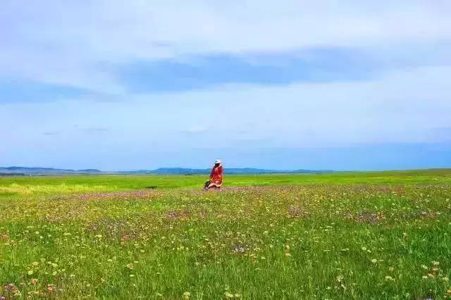 bacha视频 我非常乐意为你提供帮助