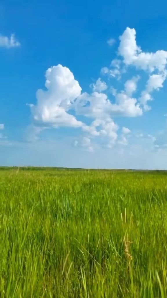 搜同男同视频 健康地了解相关话题