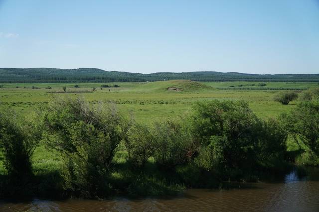 高高的抬深深的埋别让大兔子爬出来