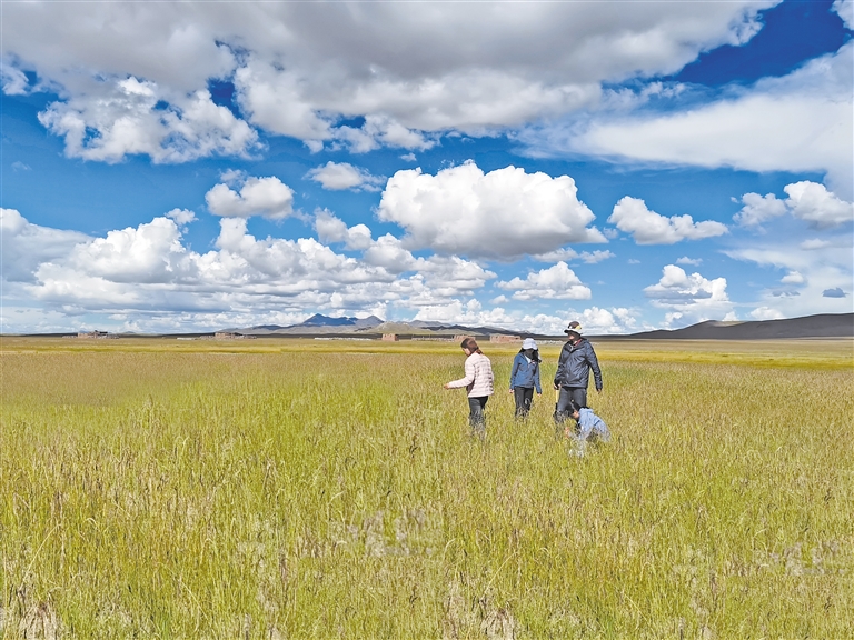 火yin忍者 由漫画家岸本齐史创作