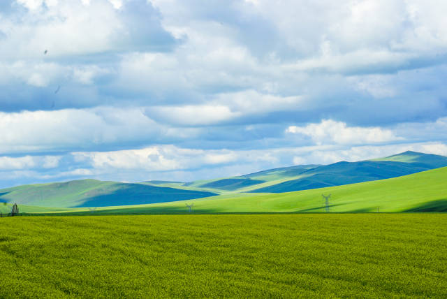 3d 动画成人动漫