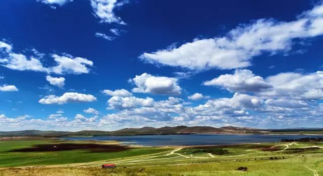 困困狗系列在线观看