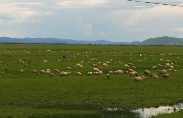 久久精品国产亚洲AV天美18