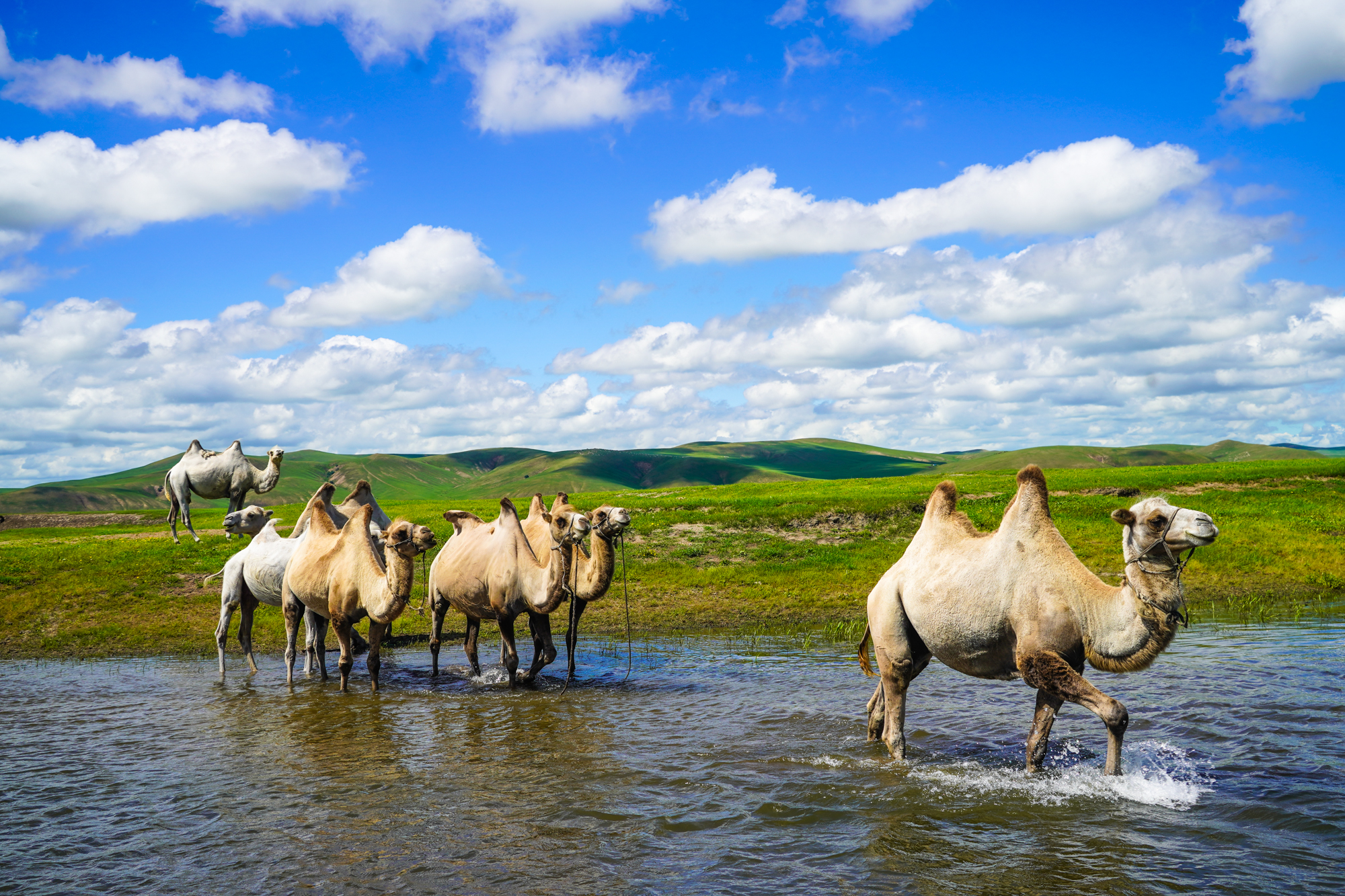 蜜芽永不失联 增加了语音助手功能