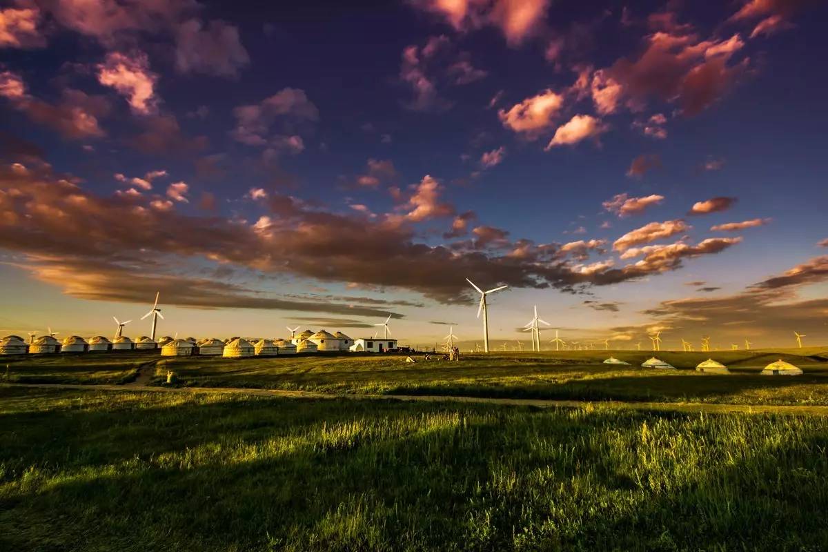 啄木鸟妻 啄木鸟妻寓意夫妻互补