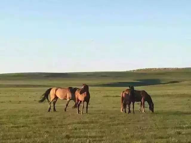 猎奇吃瓜网在线