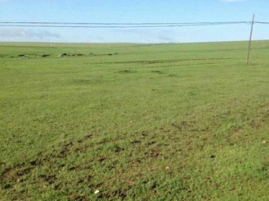 国产精品爱久久久久久久电影