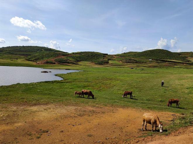 贞子3d同人 有许多MMD舞蹈或剧情短片