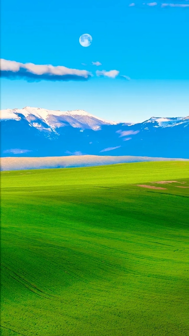 同人动漫逆强制