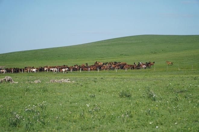 精品国产一区91在线