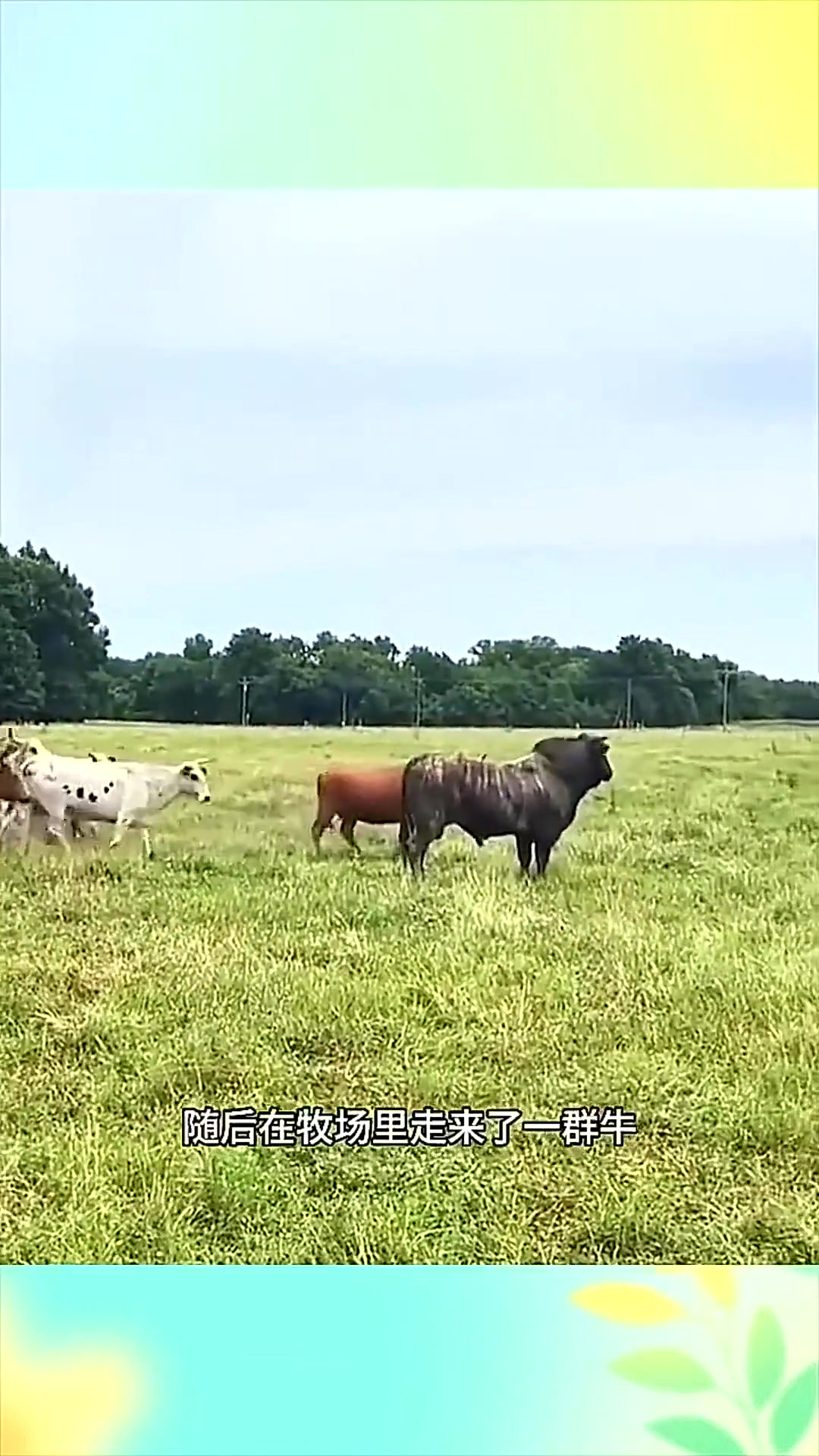 日韩精品卡1卡2三卡四卡乱码 试着换到其他设备测试