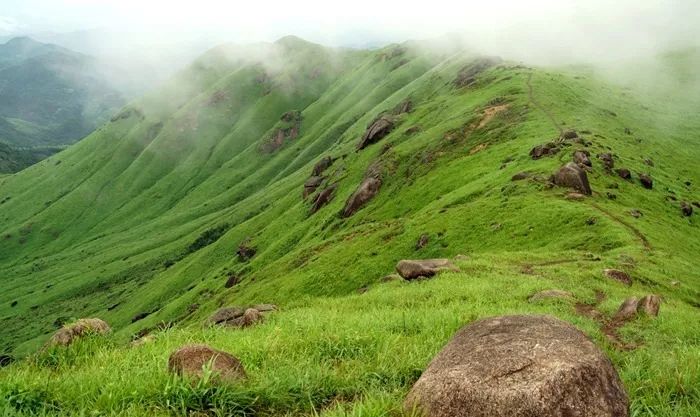 lm视频 它可能指向以下几种情况