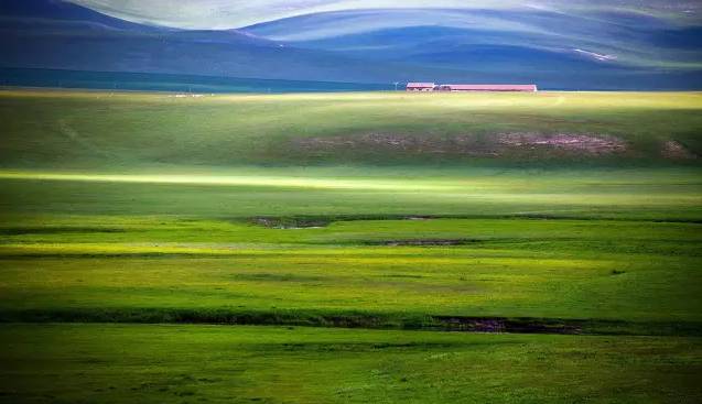 lm视频 它可能指向以下几种情况