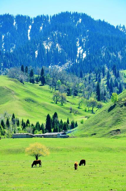 糖心在线观看免费