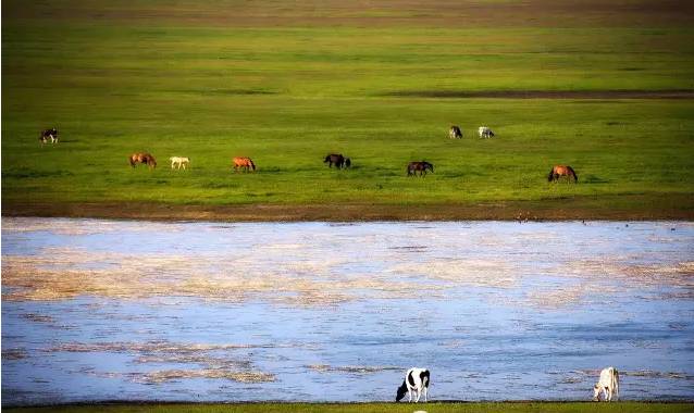 +小说在 线 观 看