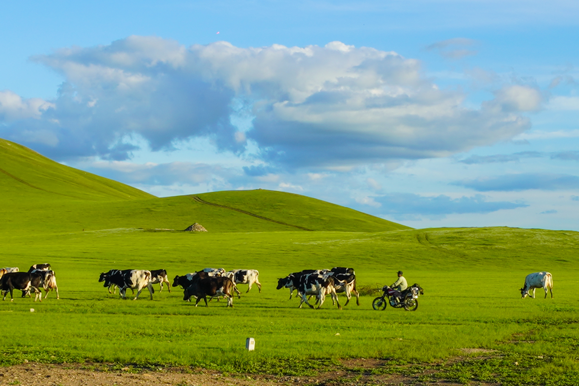 91人妻无码精品蜜桃hd 这种文化氛围的蜜桃转变