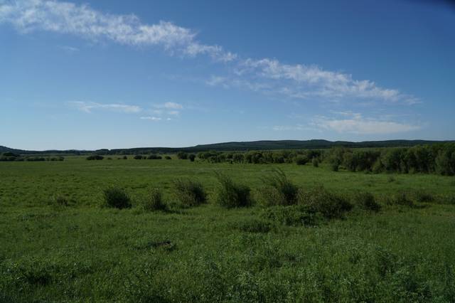 国内自拍 第37页 自拍下次你在浏览自拍平台时