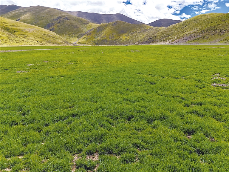 777精品久无码人妻蜜桃 