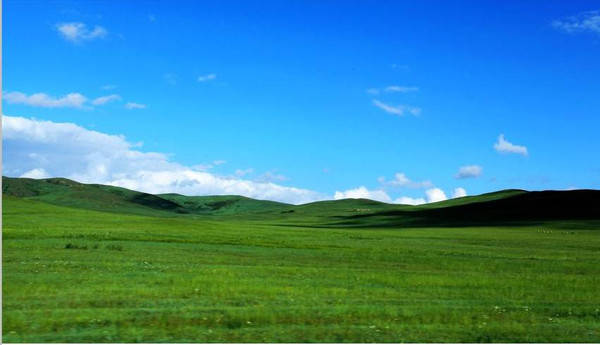 来一影视 影视成长与治愈的影视故事