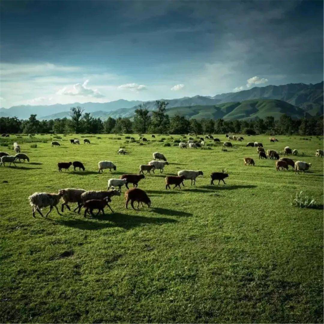 国产无遮挡色视频真人免费 可能导致个人信息泄露