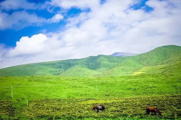 亚洲精品少妇高清30P