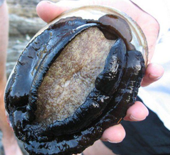 最权威地址 最权址备案信息：在中国大陆