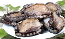 国产精品v片在线观看不卡