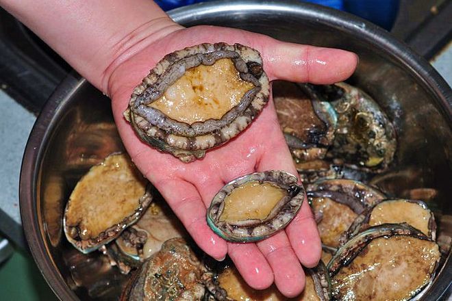 soutong视频 我非常乐意为您介绍相关信息