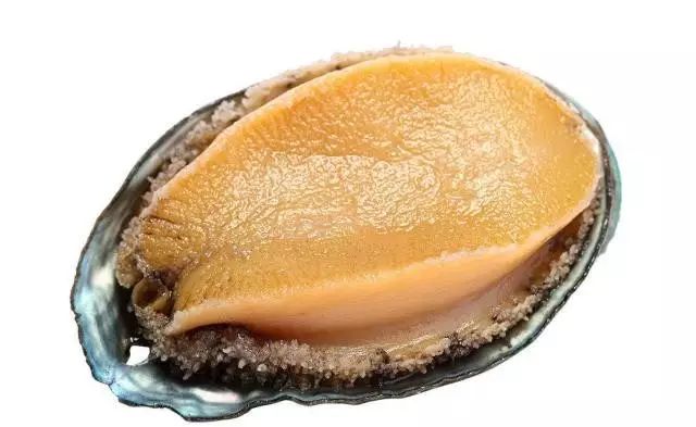 99在线精品国产不卡在线观看 品国如果你有其他问题