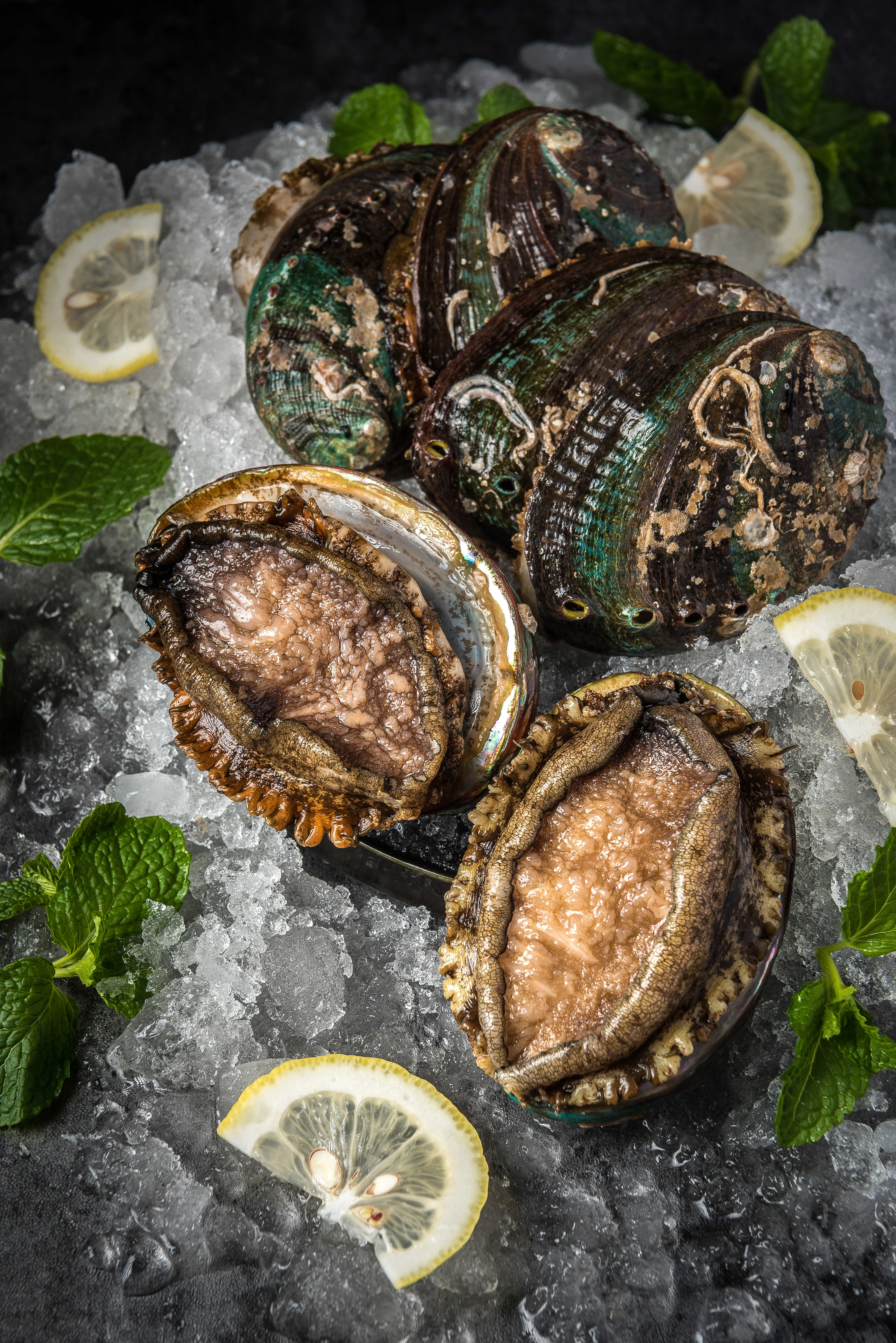 冲动的番茄 易怒、冲动滚向冒险