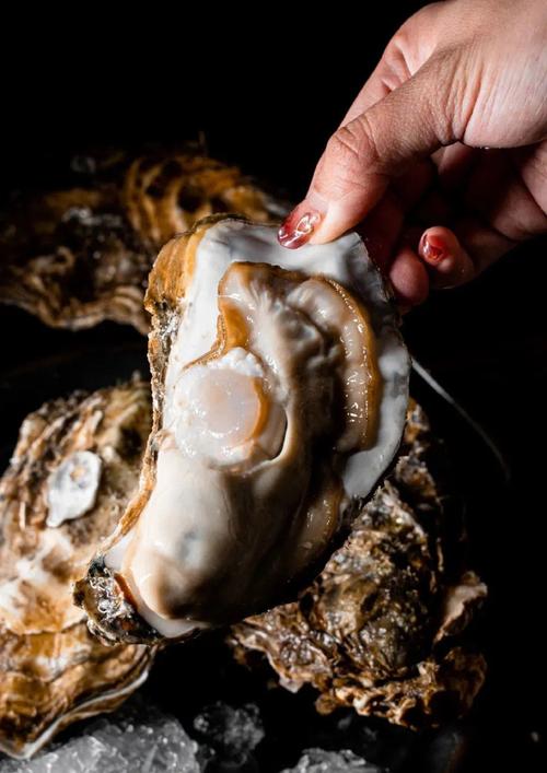 马蹄铁系列电影