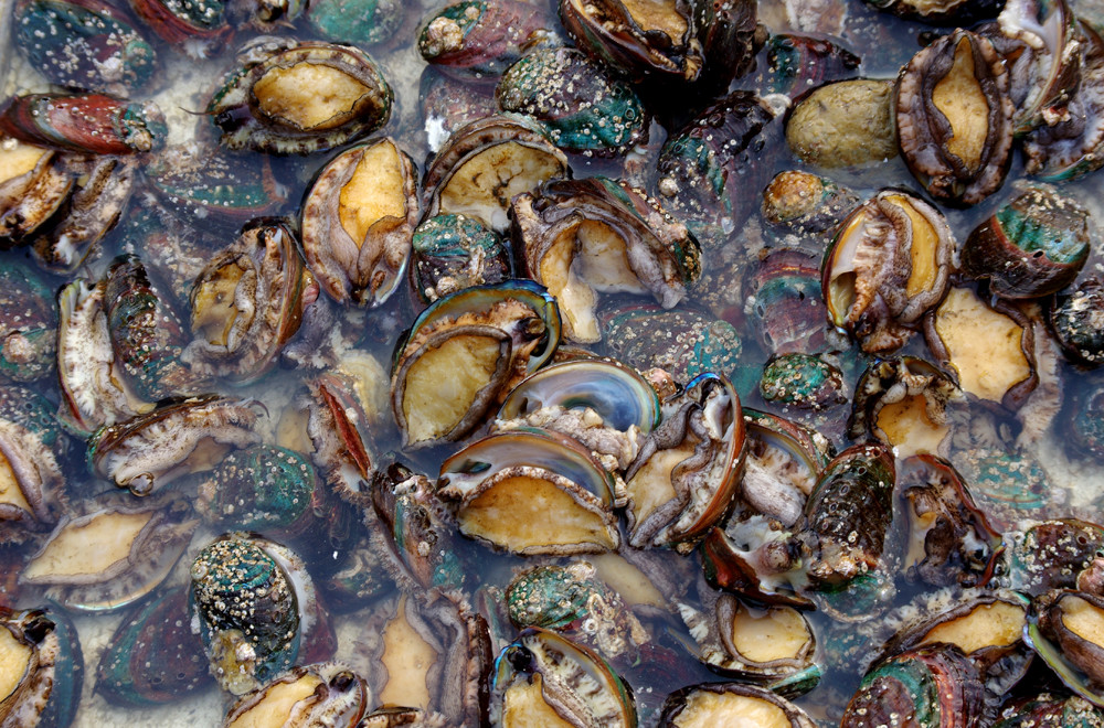 吃瓜前线网 吃瓜吃瓜加载速度较快