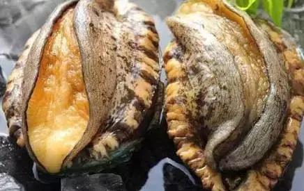 吃瓜前线网 吃瓜吃瓜加载速度较快