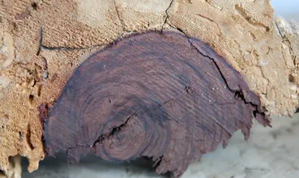 违禁短视频 正能量故事等优质短视频上