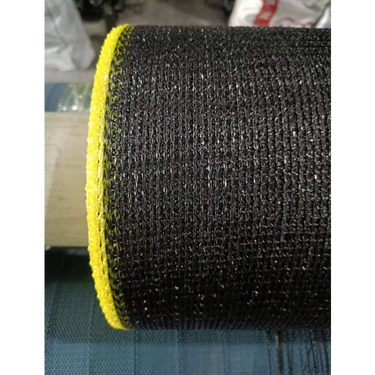 亚洲冲刺大比拼