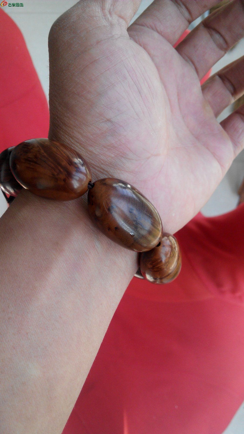 17c一起草网页版 页版显著提升团队协作效率