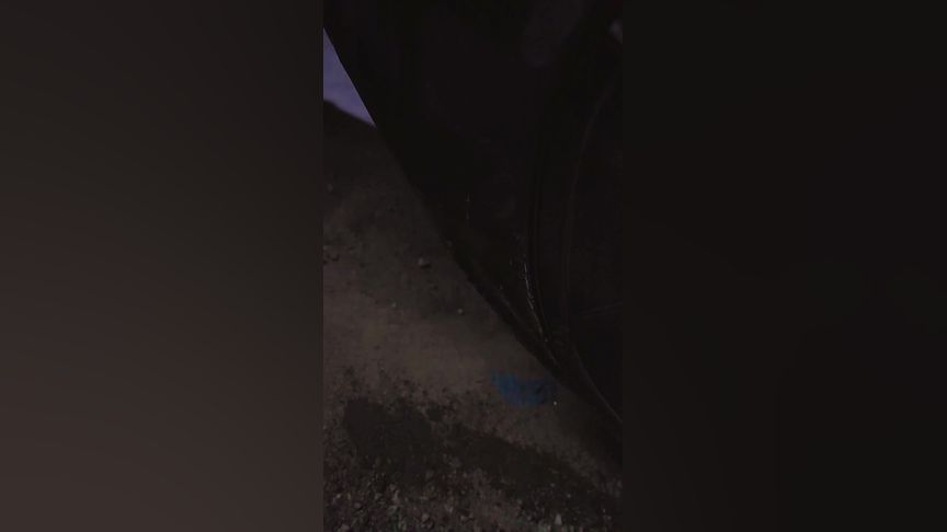 塞雷卡通关视频