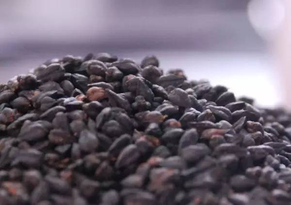 小蓝短视频 关于“小蓝短视频”