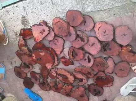 无限听山 潮汐：提供自然环境白噪音