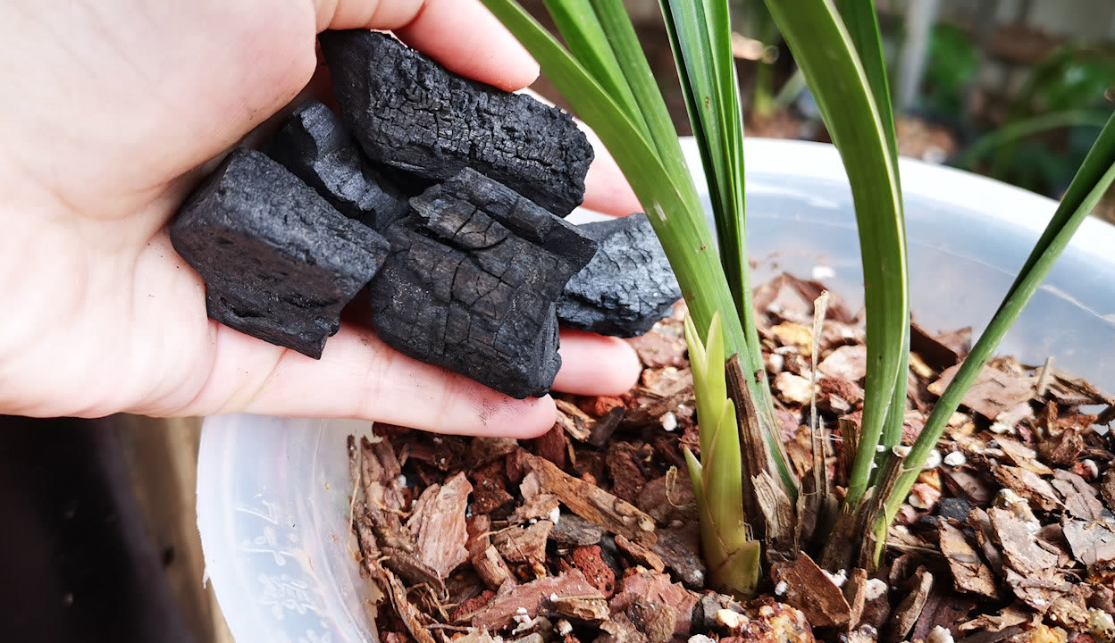 红料不打烊入口 红料个性化推荐算法较为精准