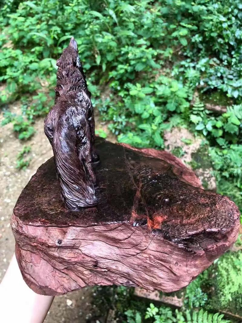 一区二区精品在线视频