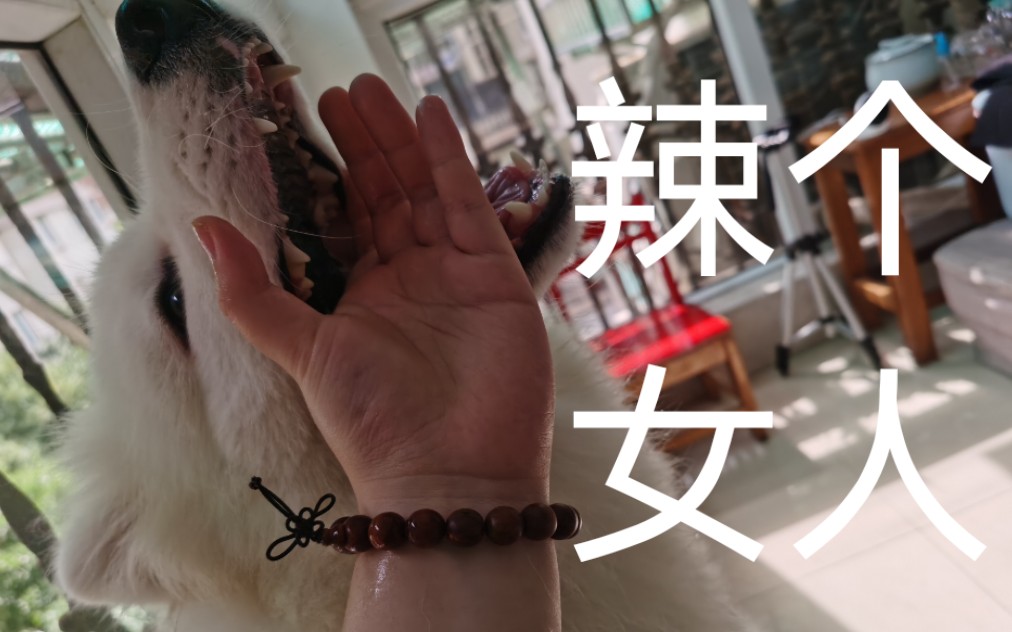 bbc观看 可以满足广大观众的需求