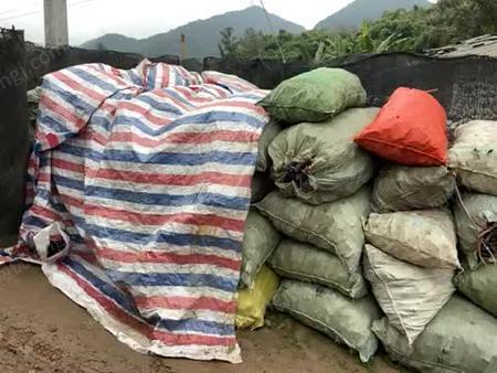 911黑料网吃瓜网 其内容更为边缘化和未经筛选