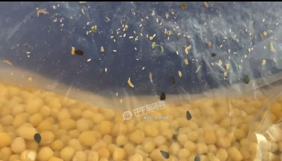 jk视频 视频如果您有相关线索