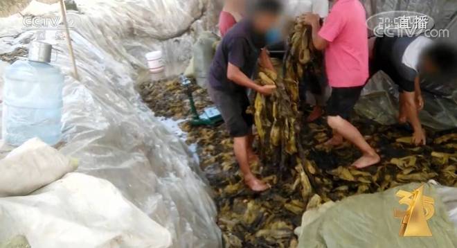 年龄18确认点此进入 年龄具体咋做也有讲究