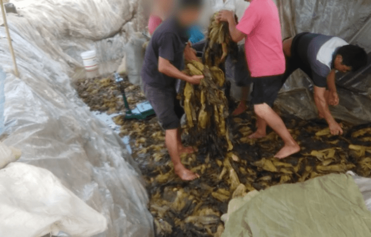 男同动漫软件 软件但请注意保护个人隐私